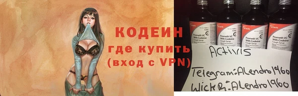 гашик Кулебаки