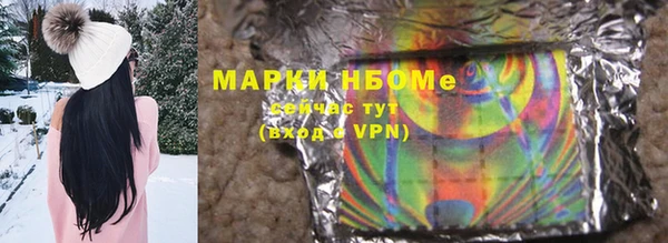 гашик Кулебаки